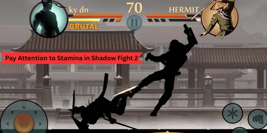 Shadow Fight 2 Mod APK tips