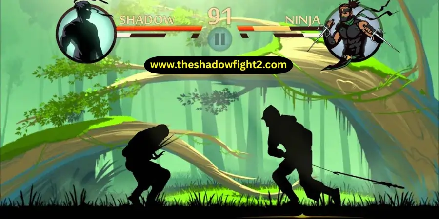 Shadow Fight 2 vs Ninja Warrior: Which Game Is Better? 8 Which Game Should You Choose
