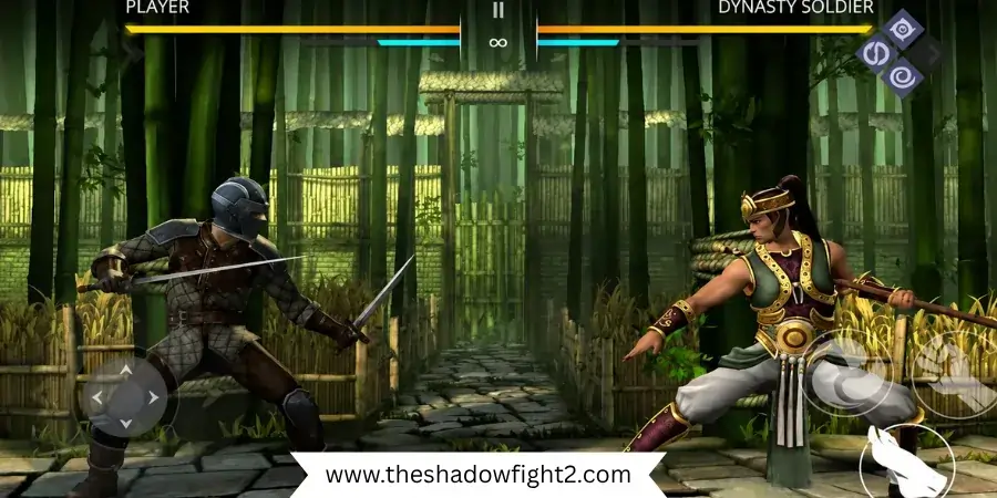 Shadow Fight 2 vs Special Edition: Which Version Should You Play? 8 Difficulty One Is Easier